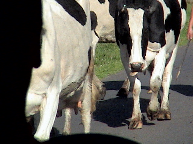 Costa Rica 007.jpg